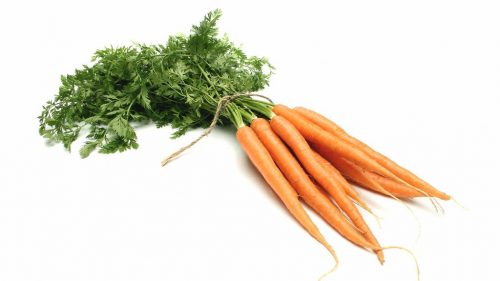 la zanahoria es una verdura que puedes sembrar en diciembre