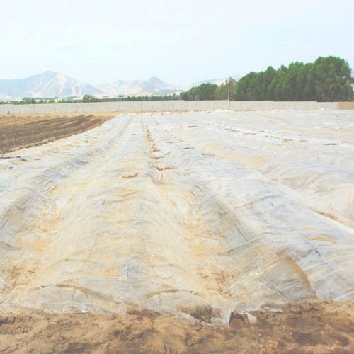 Plástico-siembra-huerto-invernadero-cultivo-natural-agrcicultura