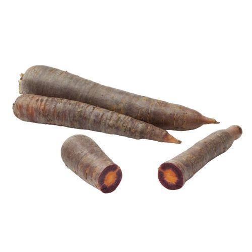 planton-de-zanahoria-morada-6-uds-gama-tradicional