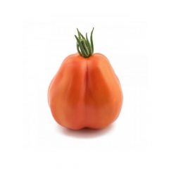 maceta-de-tomate-corazon-gigante-6-uds-gama-tradicional