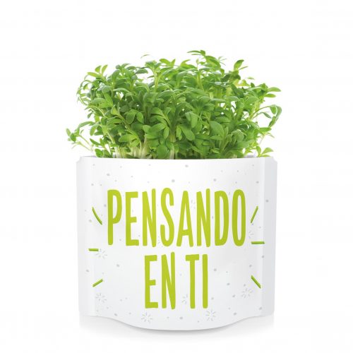 PENSANDO-EN-TI-Postales-Verdes-Garden-Pocket-germinados-semillas-ecologicas-rucula-3